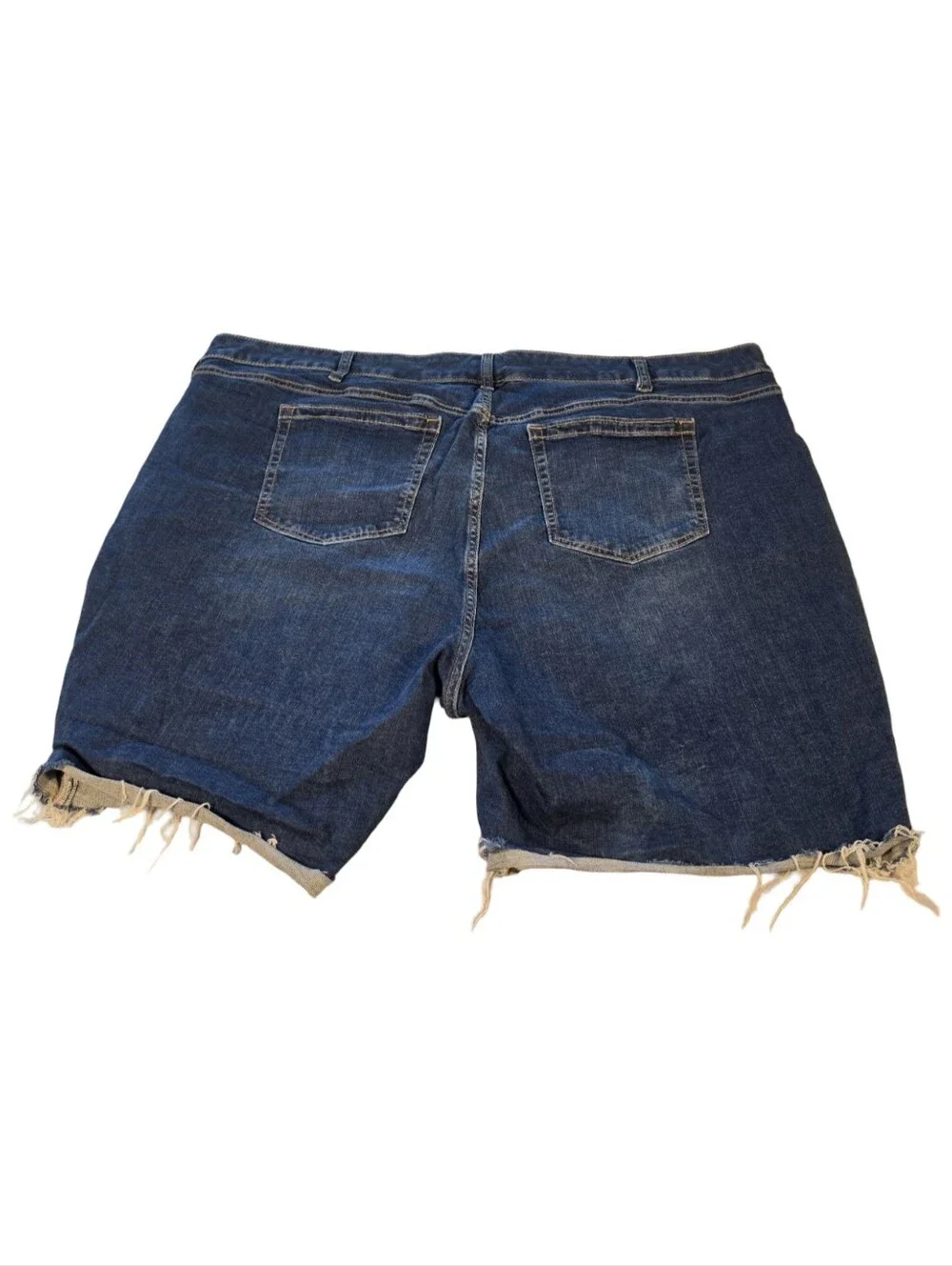 torrid Perfect 10